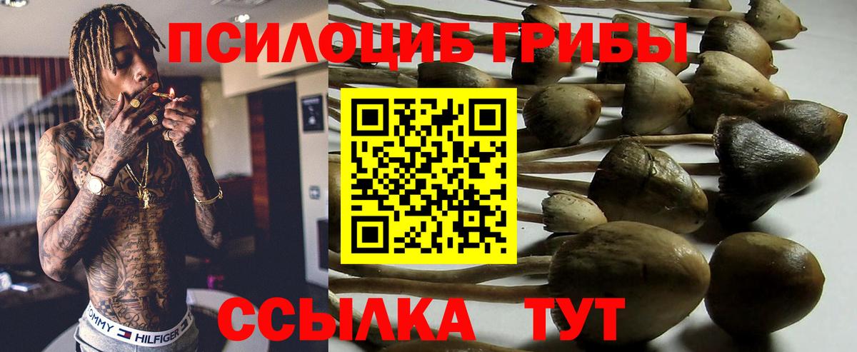 Санкт-Петербург  Псилоцибиновые грибы мухоморы  Галлюциногенные грибы MAGIC MUSHROOMS  Вход с VPN 
